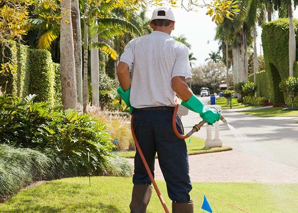 About Lukeville AZ Pest Control
